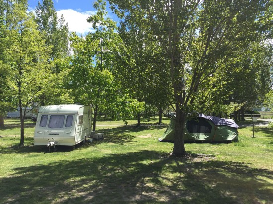 Nice campsite. Perhaps we should do some planting at Matamata?